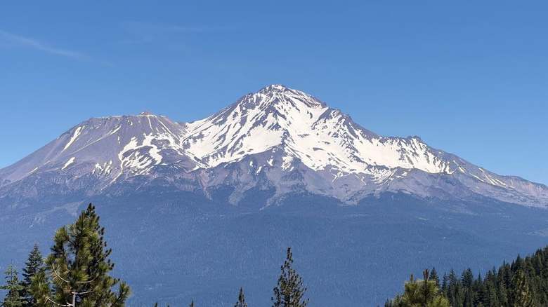 Mount Shasta